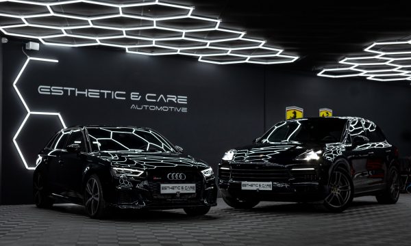 detailing 94 esthetic and care autodel